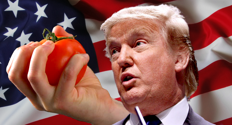 Donald Trump Attacked By Tomato Slinging Youth